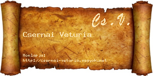 Csernai Veturia névjegykártya